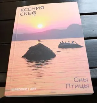Ксения СКВО — Сны и птицы